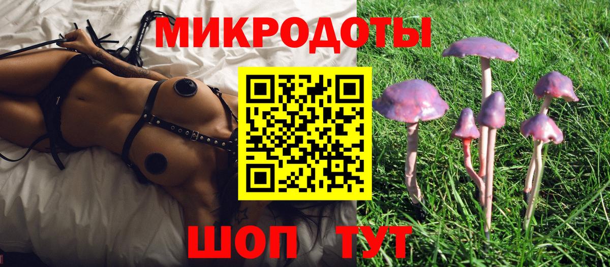 Галлюциногенные грибы мицелий Шебекино
