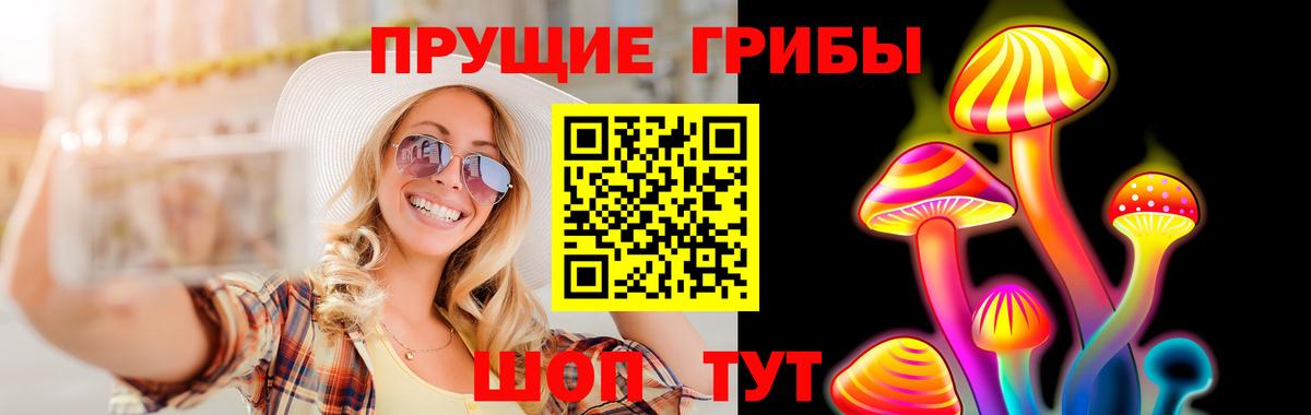 Шебекино  Галлюциногенные грибы Magic Shrooms  Галлюциногенные грибы Psilocybine cubensis  Вход с VPN 